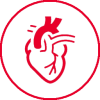 Cardiometabolico trazo rojo